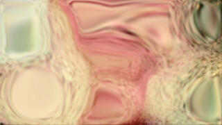 Shifting Flesh
