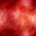Flesh